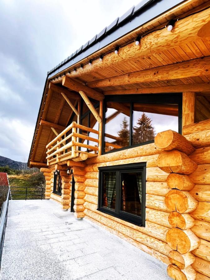Chalet Rozmarin 普雷代亚尔 外观 照片
